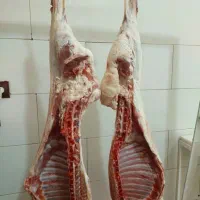 گوشت گوسفندی ازکیلوی ۵۰۰تمن به بالا