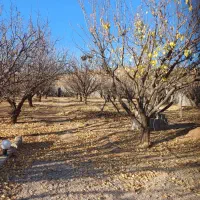 فروش ۴۰ پلاک باغ ویلا