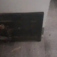 بالابر برقی رستورانی|ماشینآلات صنعتی|تایباد, |دیوار