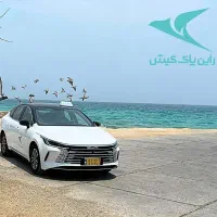 استخدام راننده برای تاکسی های VIP