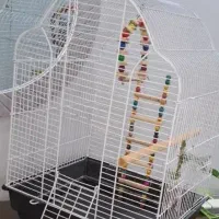 عروس هلندی وسایل و قفس پرنده عروس هلندی