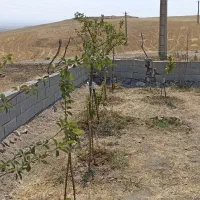 زمین مسکونی با سند