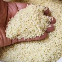 برنج کامفیروزی|خوردنی و آشامیدنی|مرودشت, بیست متری بیمارستان|دیوار