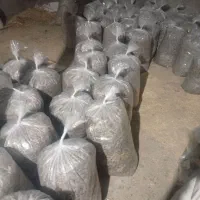 تفاله چغندر درجه یک