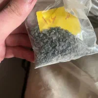 گرانول مستربچ رنگ|عمدهفروشی|وحیدیه, |دیوار