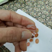 نگین  کلوخه معدنی اصلی|جواهرات|زاهدان, |دیوار