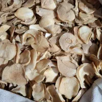 موسیر خشک