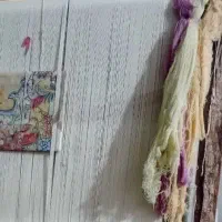 قیمت مفت دارچله کشی شده زرع وچارک بانخ مرینوس