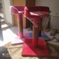 درخچه گربه اسکرچر