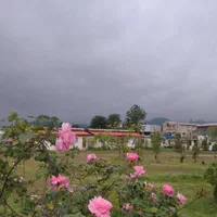 ویلا و سوییت یک خوابه و دوخوابه