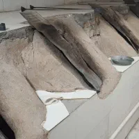 شاگرد نانوایی