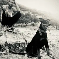 سگ دوبرمن رتوایلر میکس حرفه ایی(روترمن)|سگ|خرم‌آباد, |دیوار