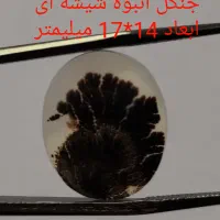 حراجی شجر شماره دو|جواهرات|زنجان, |دیوار