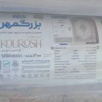 فرش 9 میری تک|فرش|کرج, کوی زنبق|دیوار