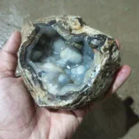 راف عقیق تاولی