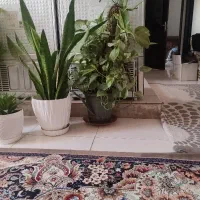 گل طبیعی و مصنوعی