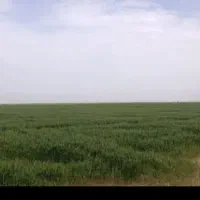 زمین-کشاورزی