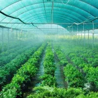 طراحی و احداث انواع گلخانه‌های مدرن و کشاورزی
