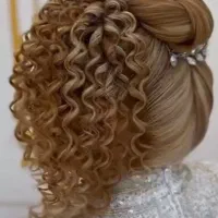 شنیون و بافت