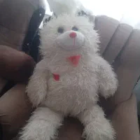 عروسک وابمیوه گیری