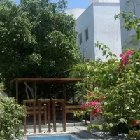 فاز-چهار-صدف-فدائی