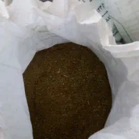تخم یونجه