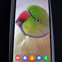 گوشی A31 128G