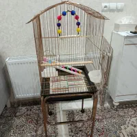 قفس نو ۱ ماه کار کرده