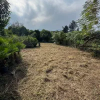 زمین مسکونی ۲۳۲ متری کبوترآبکش دوگلسر سنددار