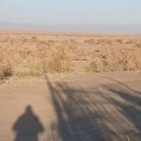 ماسه بادی وشن وخاک