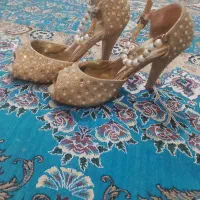 کفش سایز ۳۷