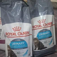 غذای گربه رویال کنین به قیمت خرید