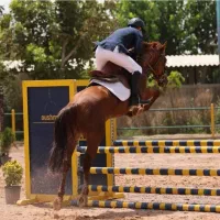 اسب پرشی یکسر خارجی|اسب و تجهیزات اسب‌سواری|رباط‌کریم, انجم آباد|دیوار