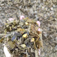 فروش انواع خوراک دام|عمدهفروشی|هامون, |دیوار