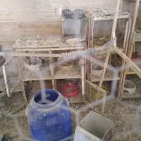 قفس و جفت کن کبوتر|لوازم جانبی حیوانات|ملایر, |دیوار