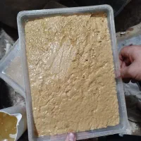 کنجاله یا تفاله واسه گوسفند گاو|لوازم جانبی حیوانات|قم, باجک دو|دیوار