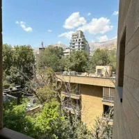 ۲۹۰ مترفرمانیه شرقی/تک واحدی/مناسب سخت پسندان|اجارهٔ آپارتمان|تهران, کامرانیه|دیوار
