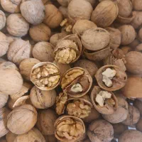 کاغذی پوست نازک|عمدهفروشی|نهاوند, |دیوار