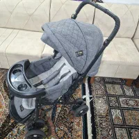 کالسکه دلیجان|کالسکه و لوازم جانبی|قم, انسجام|دیوار