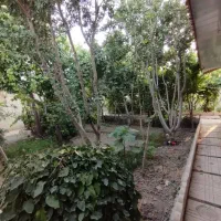 باغ با تمام مجوز