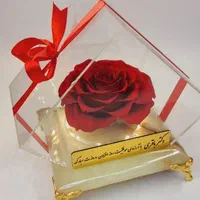باکس گل رز جاودان سنگی با گل سایز بزرگ کد ۲۳|گل و گیاه طبیعی|تهران, میدان ولیعصر|دیوار