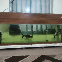 آکواریوم بزرگ