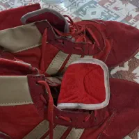 کفش بوکس و کشتی
