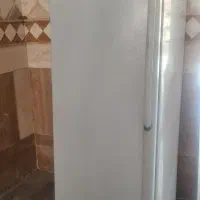 فریزر الکترو استیل