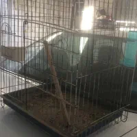 دو عدد قفس مرغ مینا و طوطی سالم|لوازم جانبی حیوانات|اهواز, کوی سعدی|دیوار