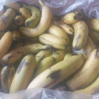 هم عمده هم کیلویی فقط فقط کیلویی ۴۰ هزار