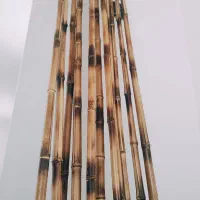چوب بامبو