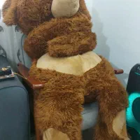 خرس قهوه ای بزرگ سنگین