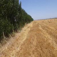 باغ|فروش زمین و ملک کلنگی|هیر, |دیوار