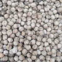 دو گونی گردو گم شده